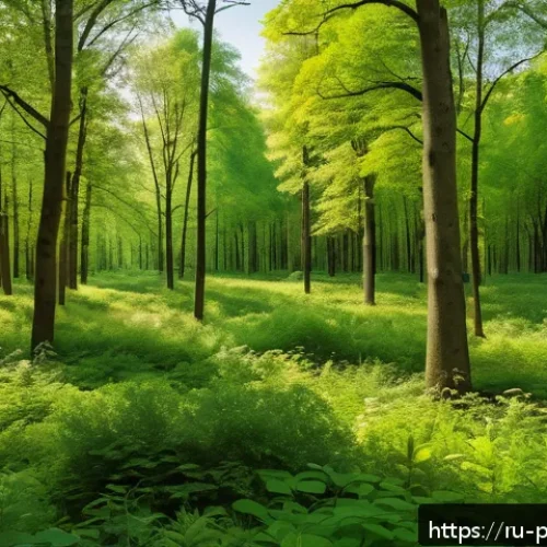 Home 31 폴란드의 기후 변화 영향 - A detailed landscape of a Polish mixed forest during late spring, showing a diverse range of tree an...