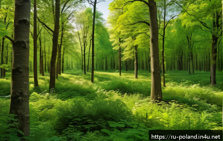 폴란드의 기후 변화 영향 - A detailed landscape of a Polish mixed forest during late spring, showing a diverse range of tree an...